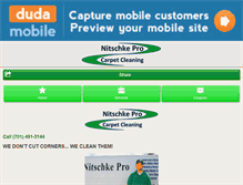 Tablet Screenshot of nitschkeprocarpetcleaning.com